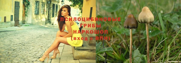 a pvp Богородск