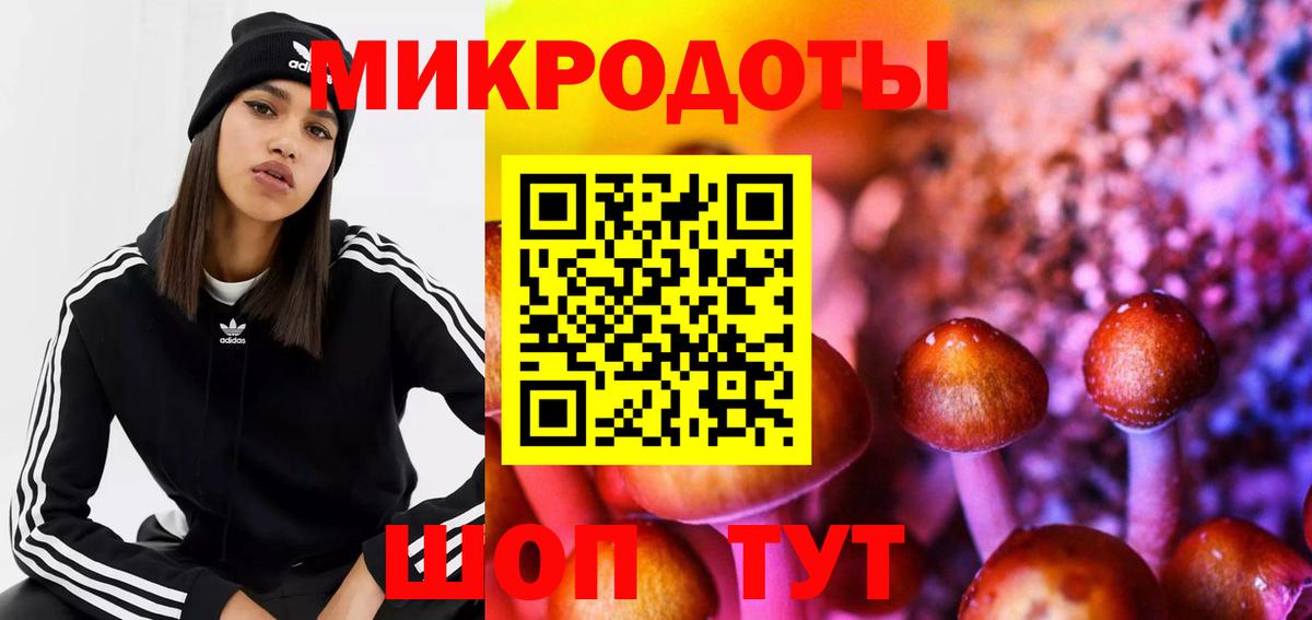 Воркута  продажа наркотиков  Вход с VPN  Псилоцибиновые грибы Magic Shrooms 